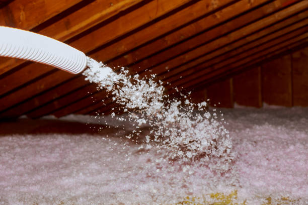 Best Eco-Friendly Insulation in Monterey Park, CA