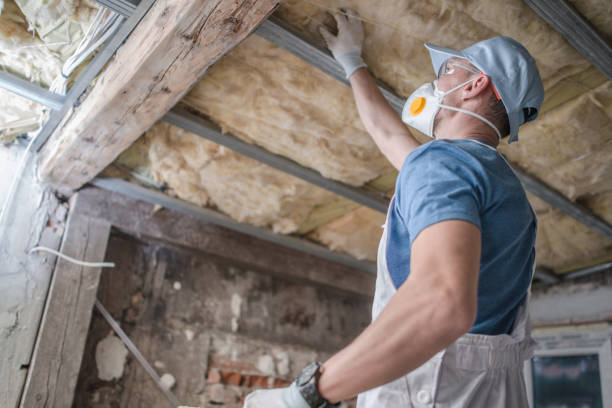 Types of Insulation We Offer in Monterey Park, CA